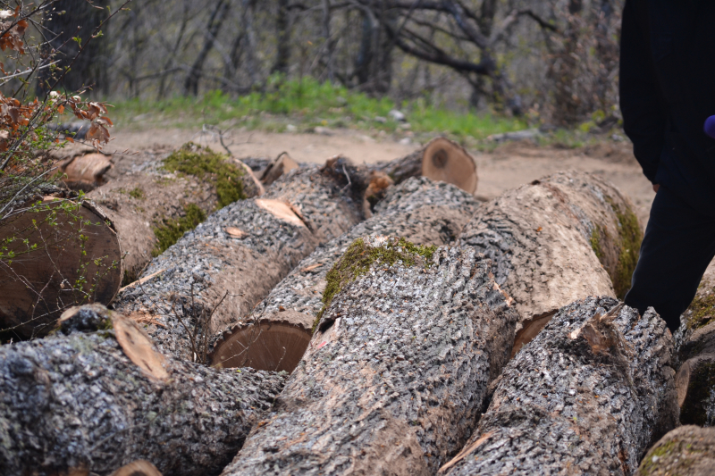 Foto: Ok Radio,Goran Mitić